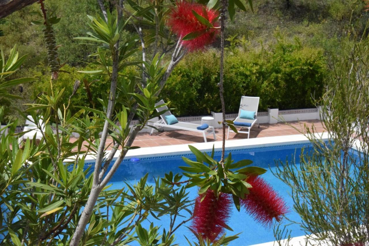 Canillas de Aceituno B&B And Apartments Cortijo La Zapatera מראה חיצוני תמונה