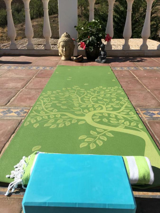 Canillas de Aceituno B&B And Apartments Cortijo La Zapatera מראה חיצוני תמונה